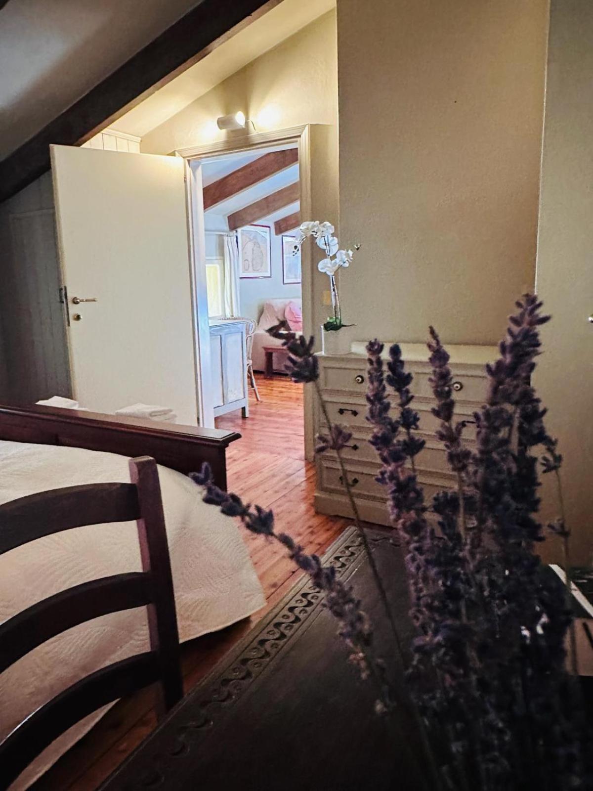 Garden Loft By Veneto Villa Villa Osti Bagian luar foto