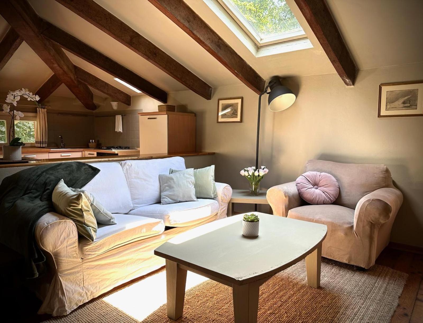 Garden Loft By Veneto Villa Villa Osti Bagian luar foto